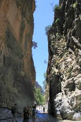 samaria2.png
